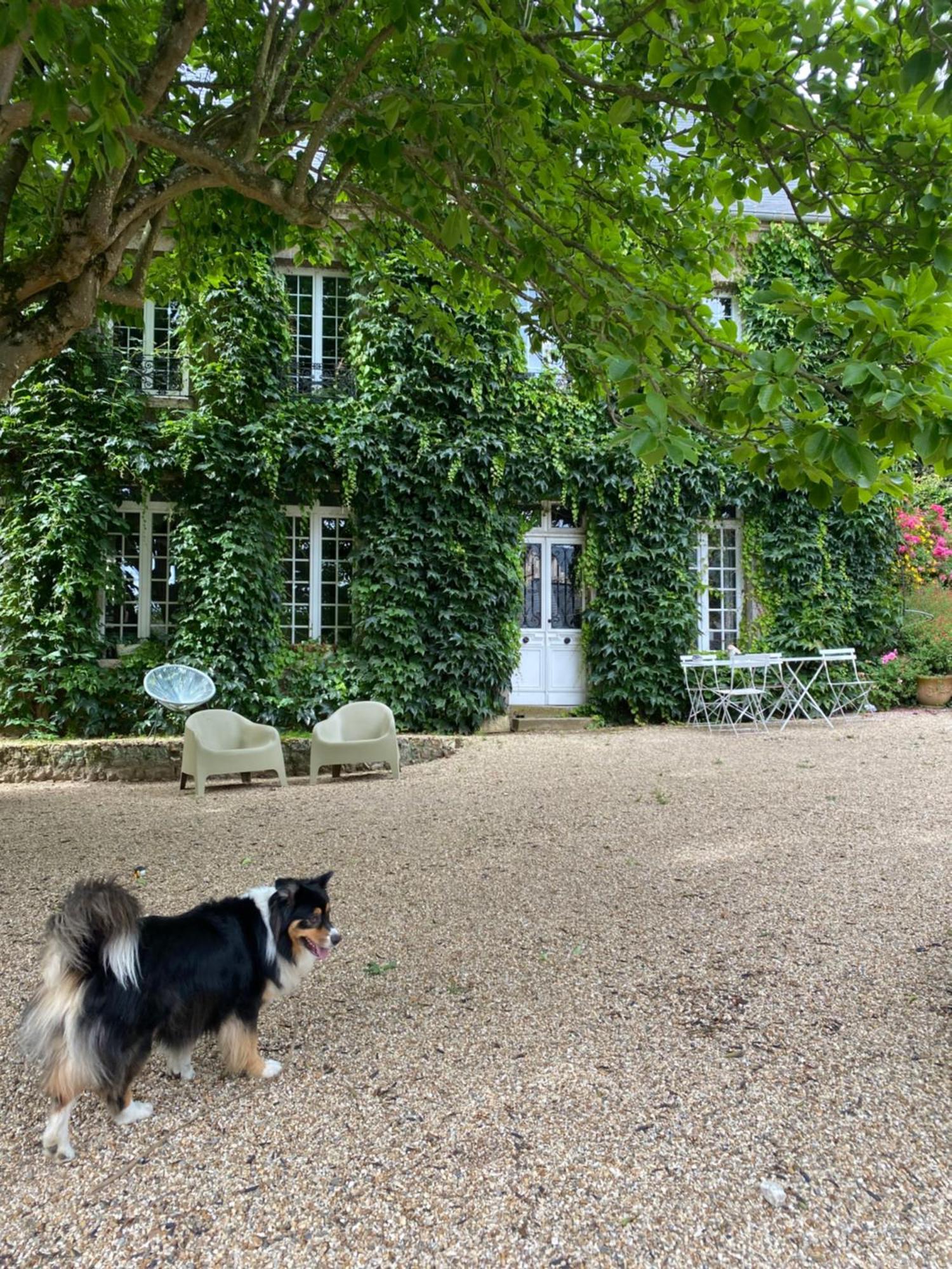 La Benjamine Bed and Breakfast Cany-Barville Eksteriør billede
