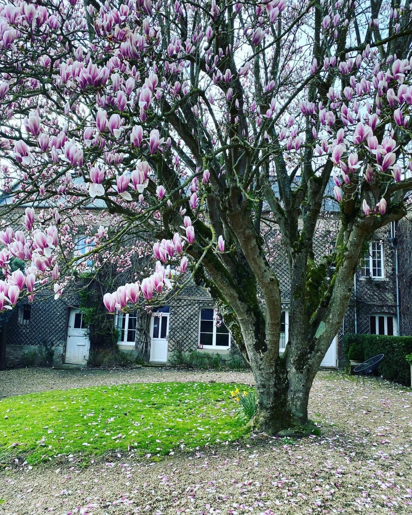 La Benjamine Bed and Breakfast Cany-Barville Eksteriør billede